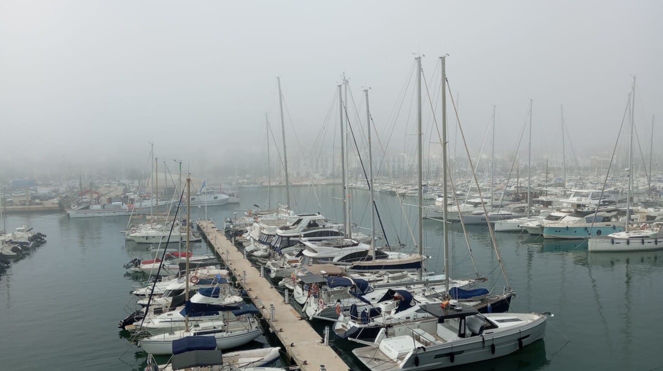Los mástiles de los veleros asomando entre la densa niebla que ha cubierto el puerto de Dénia hoy