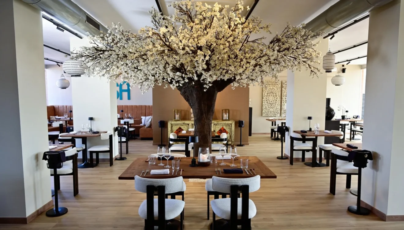 MESA La Marina, un bocado de Japón frente al mediterráneo