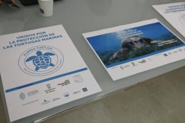 Presentación oficial de la Alianza Tortuga en el Ajuntament de Dénia (9)