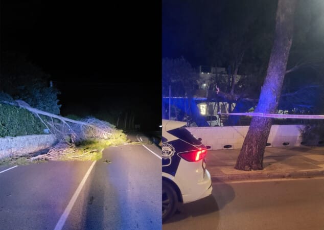 Imagen: Rama de árbol caída en el cruce de Jesús Pobre y en la carretera de Dénia a Xàbia