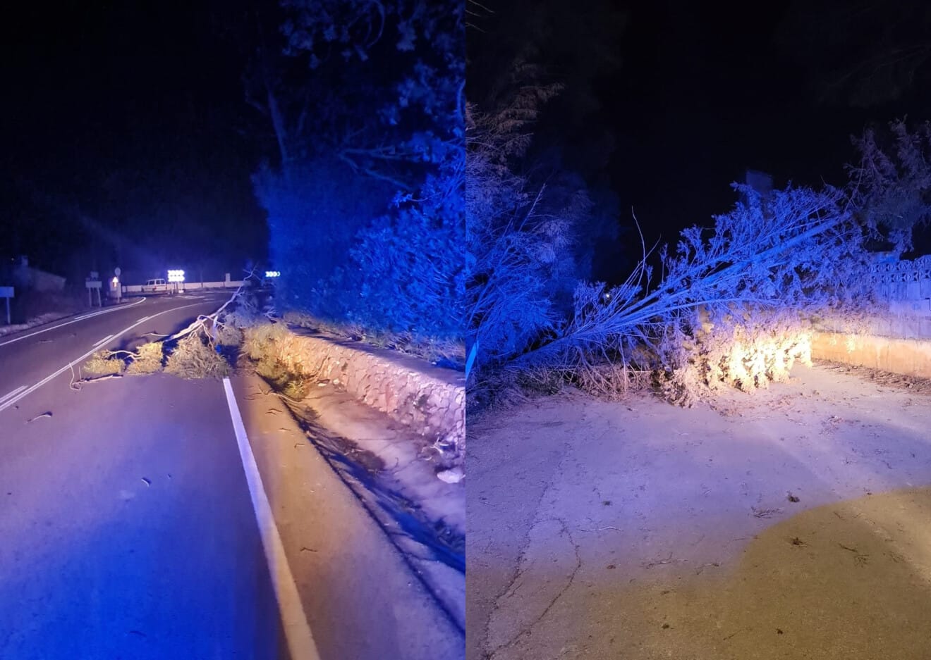 Rama de árbol caída en la CV-735 y en la calle Artemis de Dénia