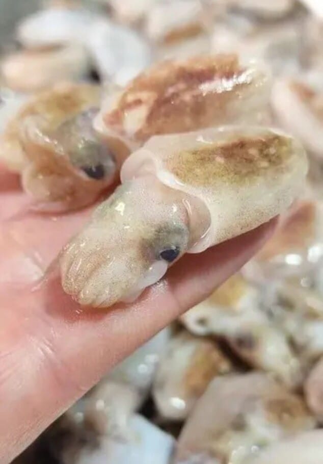 restaurante de producto local y temporada