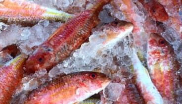 Restaurante en Dénia con auténtica cocina marinera tradicional