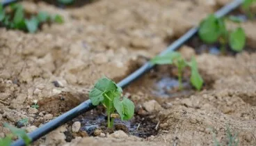 Soluciones de riego y bombeo agrícola profesional