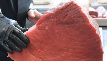 Sushi preparado al momento frente a ti con pescado fresco de lonja