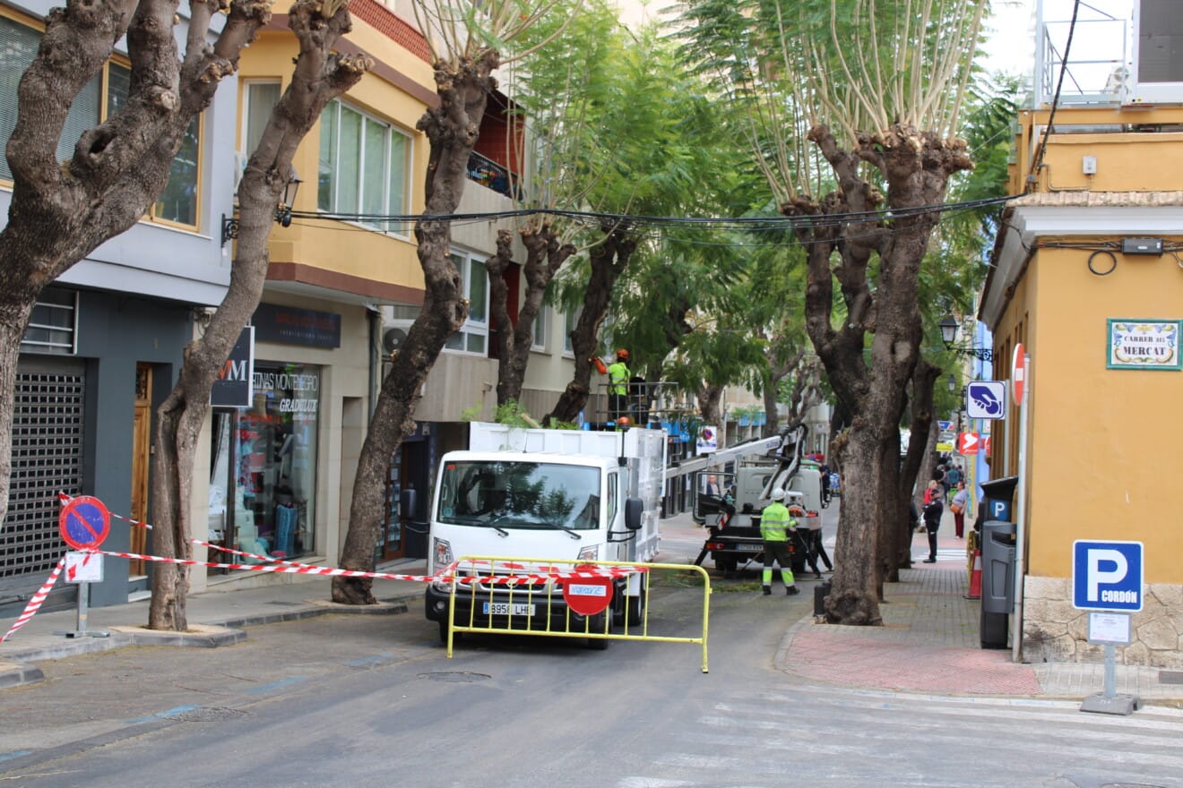 Trabajos de poda en calle Carlos Sentí