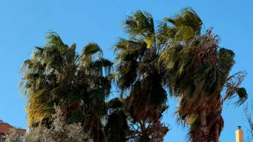 viento en la marina alta