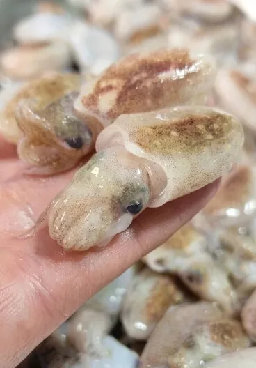 Beneficios de la cocina de mercado frente a la producción industrial
