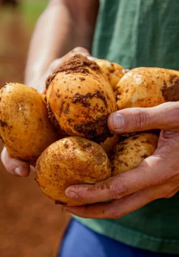 Beneficios del producto fresco en la alimentación diaria