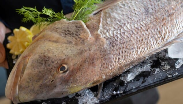 Genießen Sie eine Mahlzeit am Meer in der Region Marina Alta mit frischen Produkten.