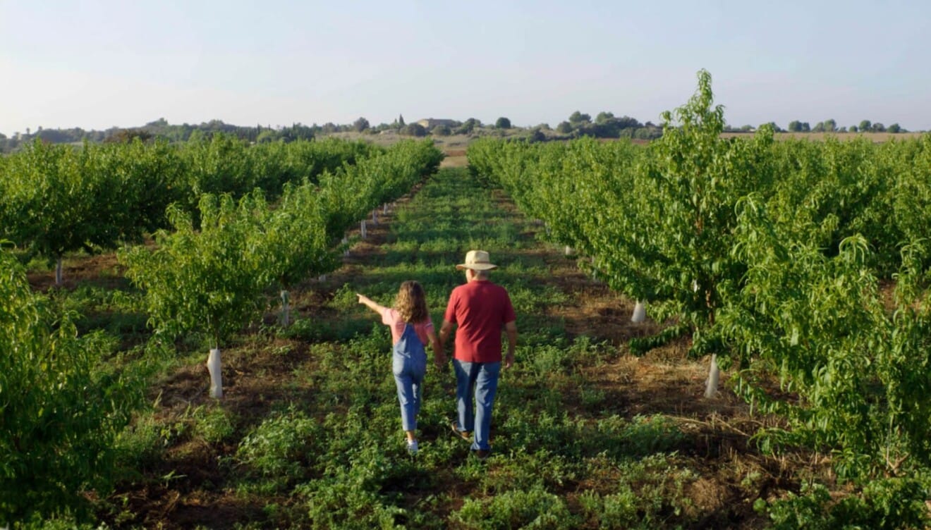 Cómo reconocer una tienda de alimentación especializada en productos frescos