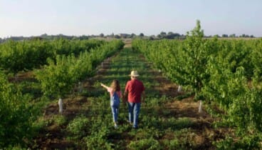 Cómo reconocer una tienda de alimentación especializada en productos frescos