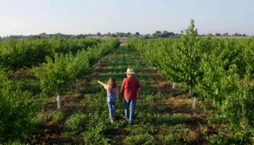 Cómo reconocer una tienda de alimentación especializada en productos frescos
