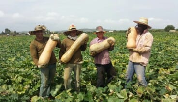 Consumo responsable con productos de kilómetro cero en la Marina Alta