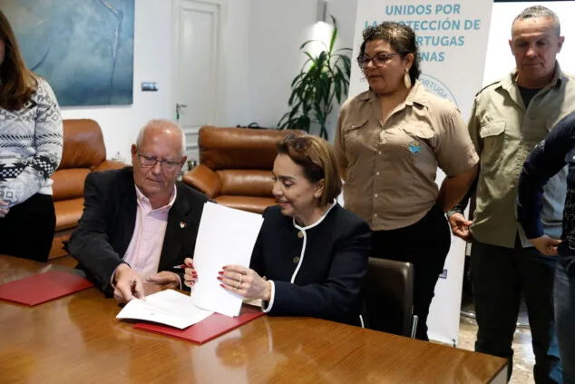 Dénia sella la alianza entre el Mediterráneo y el Caribe para la protección de las tortugas marinas 18 denia firma la alianza tortuga con costa rica 04