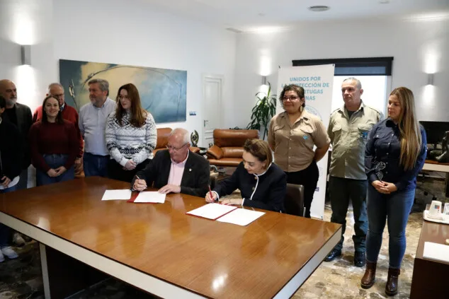 Dénia sella la alianza entre el Mediterráneo y el Caribe para la protección de las tortugas marinas 19 denia firma la alianza tortuga con costa rica 05