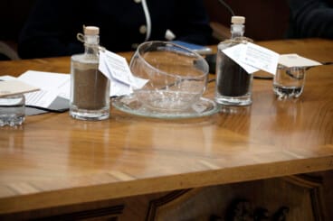 Dénia firma la Alianza Tortuga con Costa Rica 32