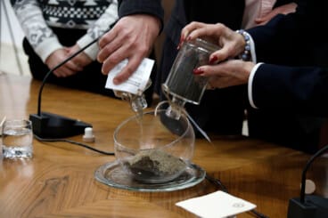 Dénia firma la Alianza Tortuga con Costa Rica 39