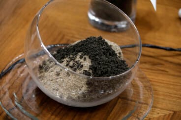 Dénia firma la Alianza Tortuga con Costa Rica 41