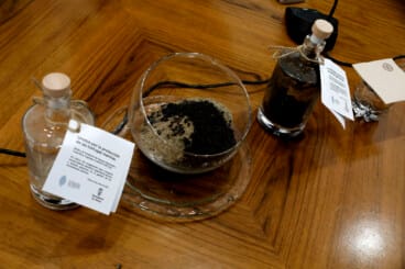 Dénia firma la Alianza Tortuga con Costa Rica 43