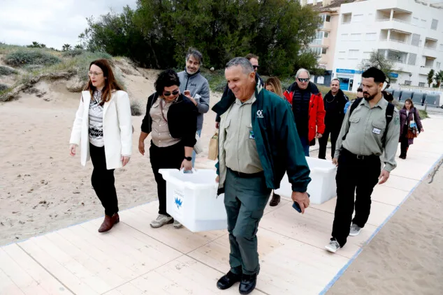 Dénia sella la alianza entre el Mediterráneo y el Caribe para la protección de las tortugas marinas 5 denia firma la alianza tortuga con costa rica 48