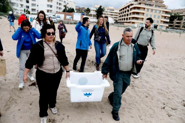 Dénia sella la alianza entre el Mediterráneo y el Caribe para la protección de las tortugas marinas 6 denia firma la alianza tortuga con costa rica 49