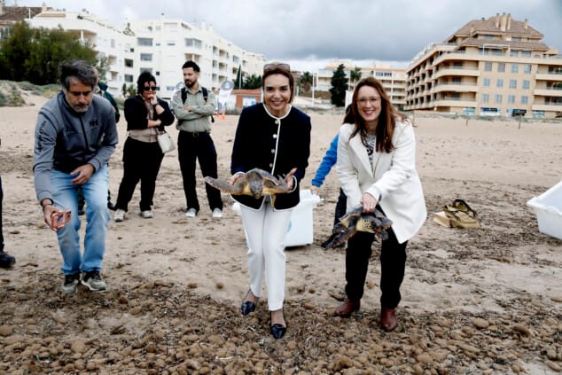 denia firma la alianza tortuga con costa rica 50