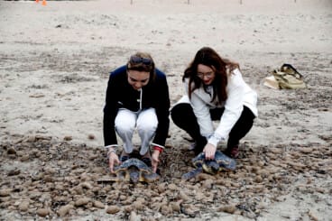 Dénia firma la Alianza Tortuga con Costa Rica 51