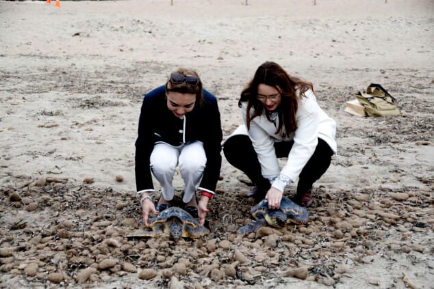 denia firma la alianza tortuga con costa rica 51