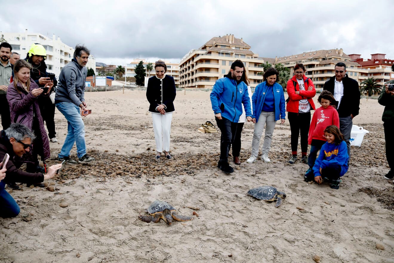 Dénia firma la Alianza Tortuga con Costa Rica 53