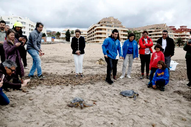 Dénia sella la alianza entre el Mediterráneo y el Caribe para la protección de las tortugas marinas 9 denia firma la alianza tortuga con costa rica 53