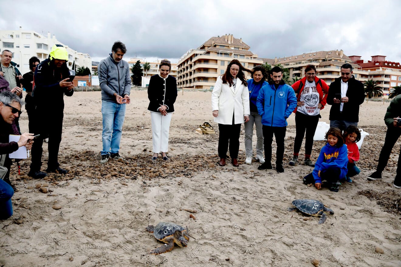Dénia firma la Alianza Tortuga con Costa Rica 54