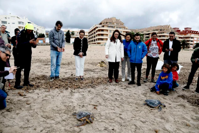 Dénia sella la alianza entre el Mediterráneo y el Caribe para la protección de las tortugas marinas 10 denia firma la alianza tortuga con costa rica 54
