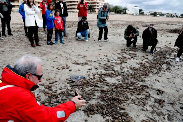 denia firma la alianza tortuga con costa rica 56