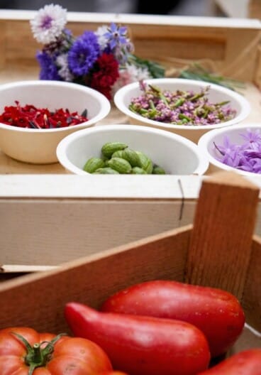 Diferencias entre producto local y producción masiva en la cocina mediterránea
