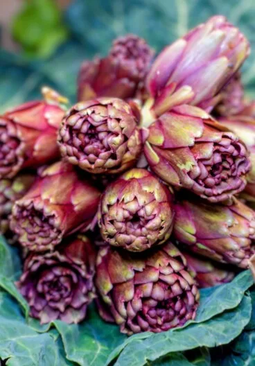 Importancia de consumir frutas y verduras frescas de proximidad