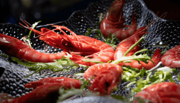 La herencia de un abuelo que supo ver el potencial de las rocas para crear un hogar para todos los dianenses