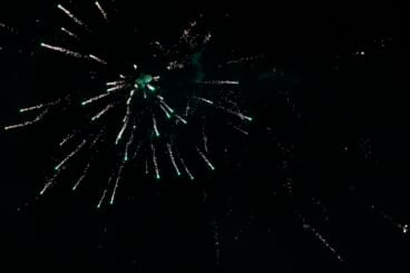 Nit de la Cremà de Dénia 2026 37