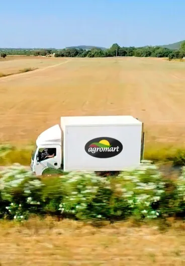 Nueva tienda de productos frescos en Ondara con compromiso local