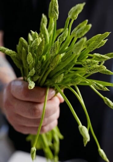 Por qué el producto local marca la diferencia en la gastronomía de la Marina Alta