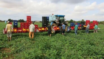 Productos de proximidad frescos en la Marina Alta