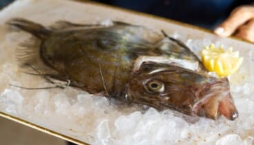 Restaurante con vistas al puerto en Dénia