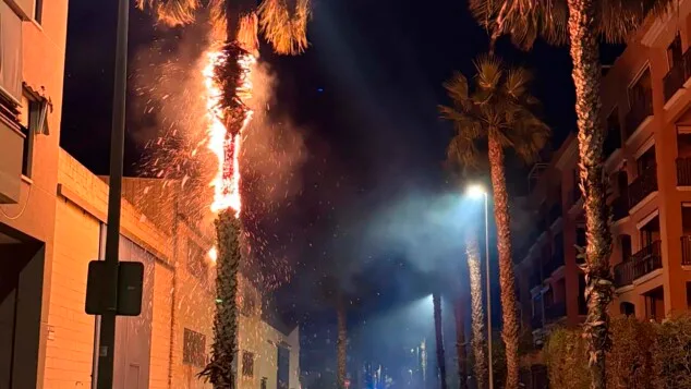 una palmera arde en plena noche en denia