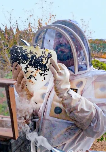 Volver a disfrutar del proceso de elegir alimentos frescos