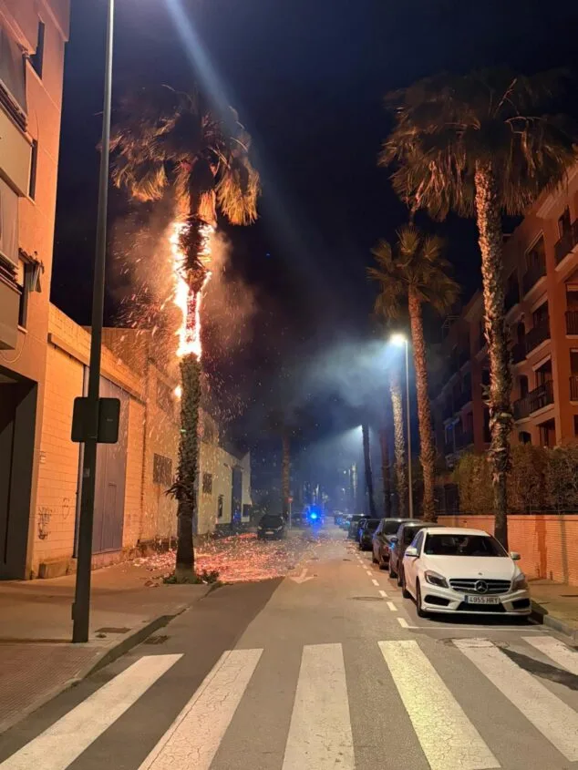 Imagen: Palmera ardiendo intensamente en una calle de noche, desprendiendo gran cantidad de chispas, con un coche blanco aparcado y luces azules de emergencia visibles al fondo en la calle Mirarrosa.
