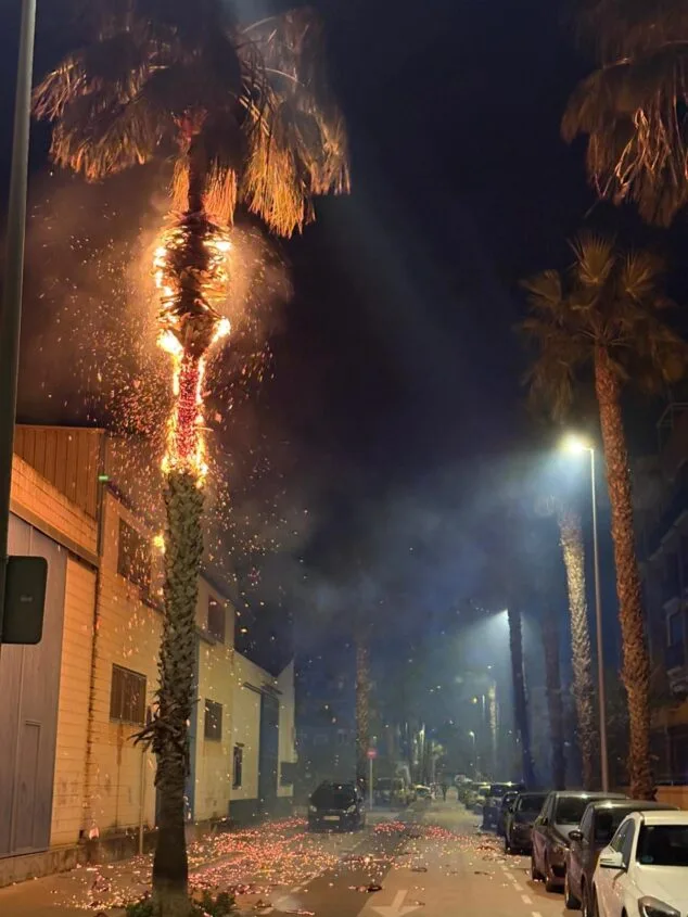 Imagen: Palmera con el tronco en llamas durante la noche en una calle con coches aparcados y edificios industriales.