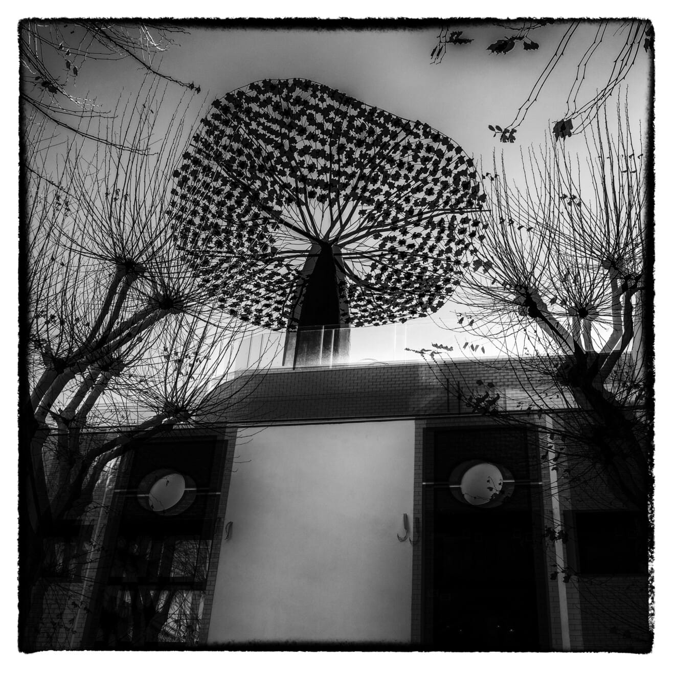 Fotografía con el segundo premio de artística 'Hivern' de Alfredo Sanz