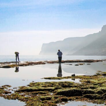Obra con el segundo premio de turística de Alfredo Sanz: ‘Curiositat’