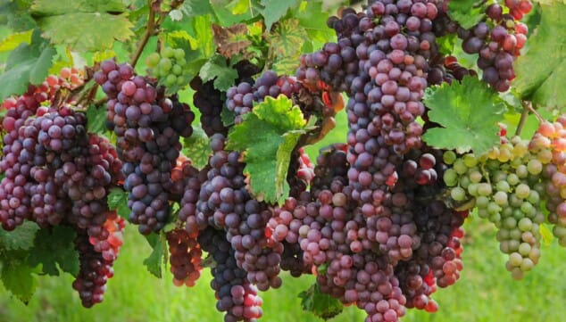 Imagen: Cerca de 1.000 muestras con amplia presencia internacional