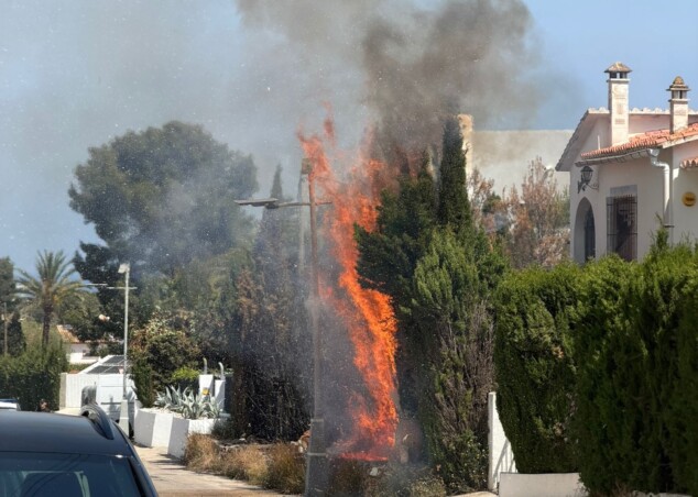 fuego en un seto de denia
